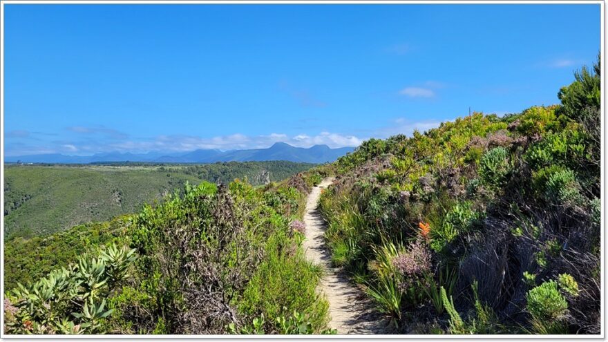 Tsitsikamma National Park - Südafrika - Lookout Trail