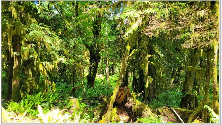 Alice Lake Provincial Park - British Columbia - Canada