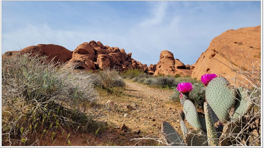 Atlatl Rock, Arch Rock, Valley of Fire, Nevada, USA