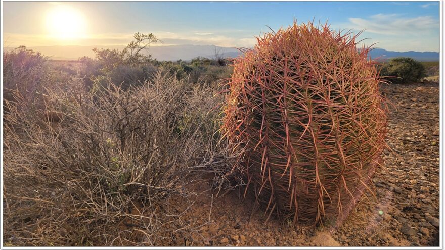 Bee Hive, Valley of Fire, Nevada, USA