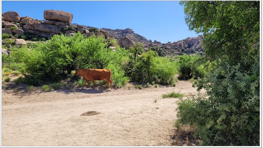 Bread Rock Recreation Area, Arizona, USA