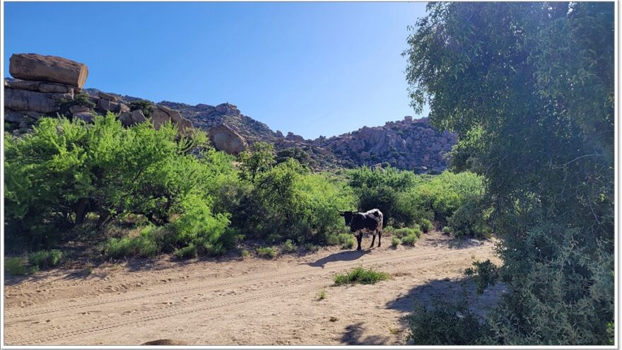 Bread Rock Recreation Area, Arizona, USA