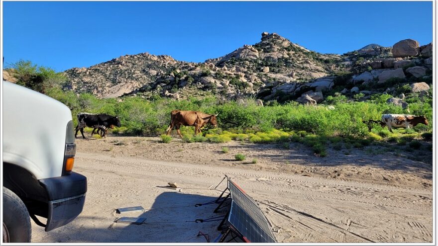 Bread Rock Recreation Area, Arizona, USA