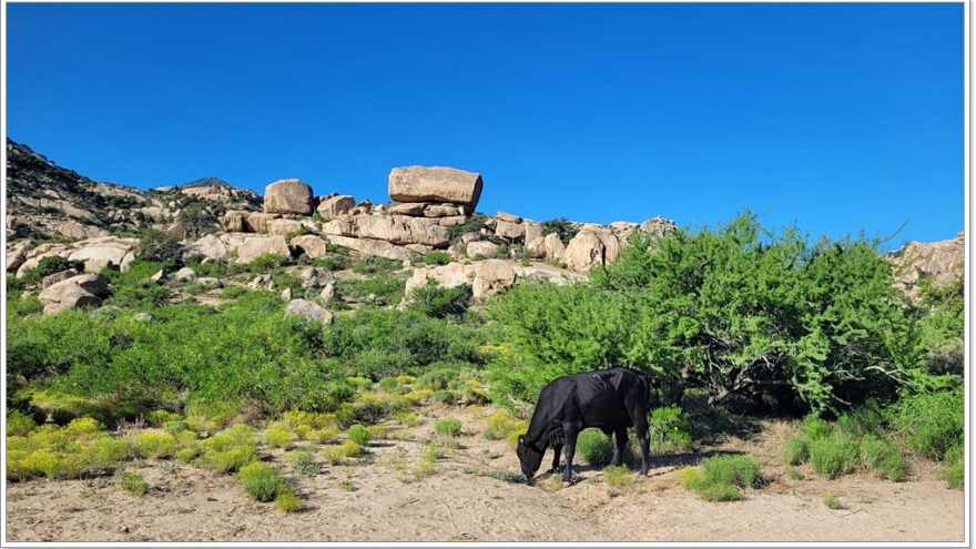 Bread Rock Recreation Area, Arizona, USA