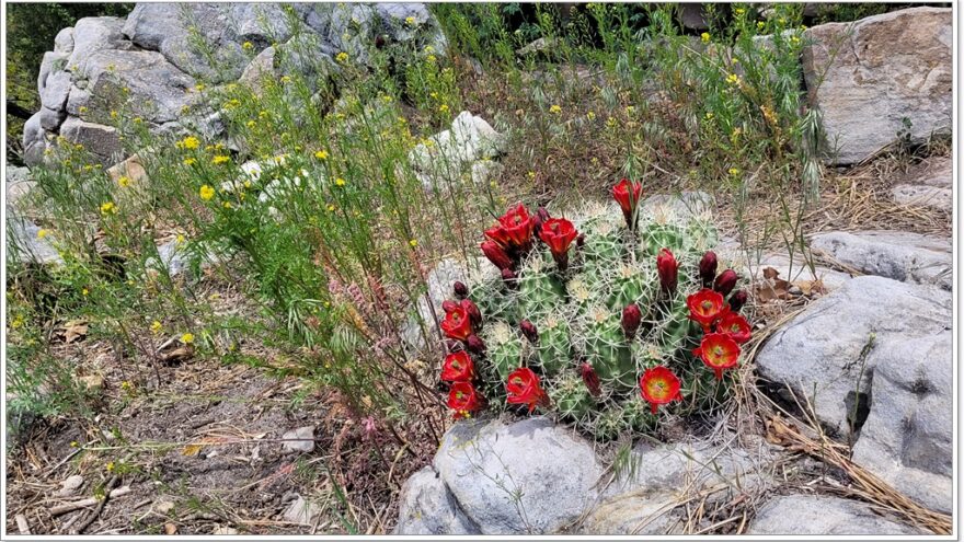 Durango, Colorado, USA