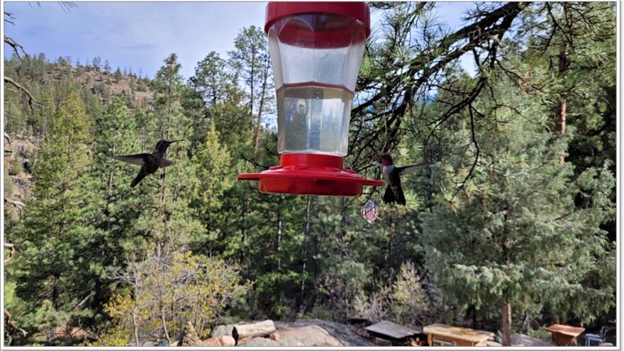 Durango, Rockwoods, Colorado, USA