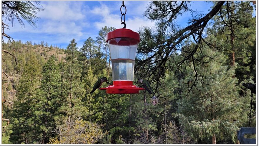 Durango, Rockwoods, Colorado, USA