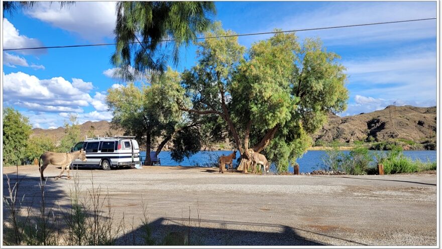 Parker, Lake Havasu, Arizona, USA