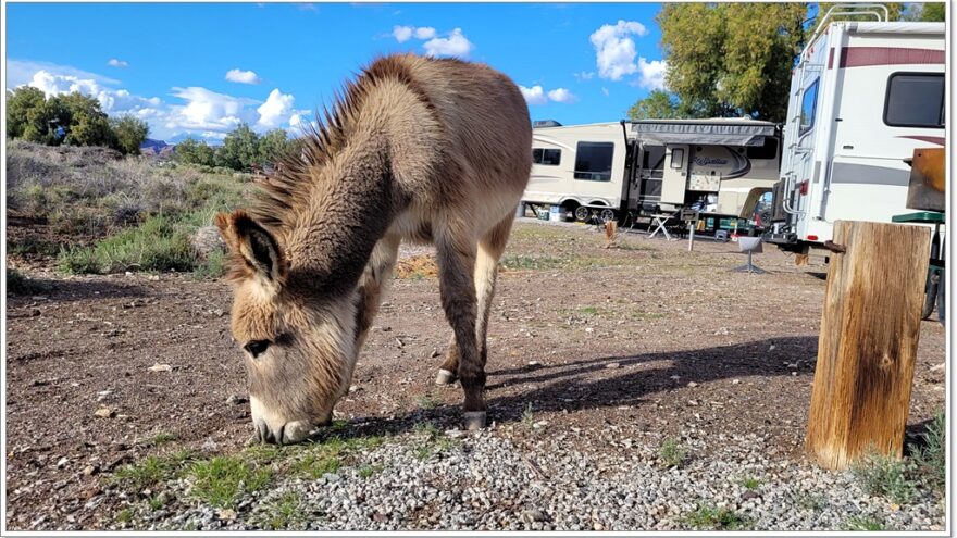 Parker, Lake Havasu, Arizona, USA