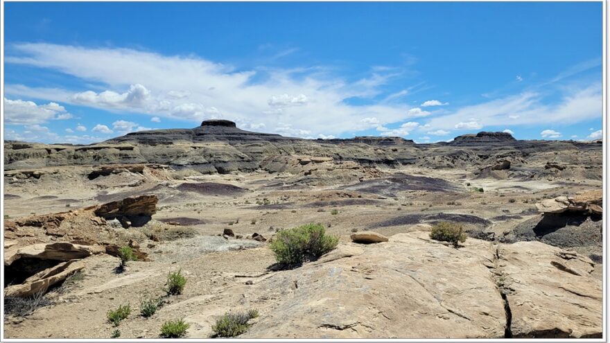 Roswell, Bisti Badlands, New Mexico, USA