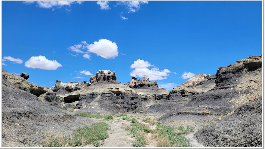 Roswell, Bisti Badlands, New Mexico, USA