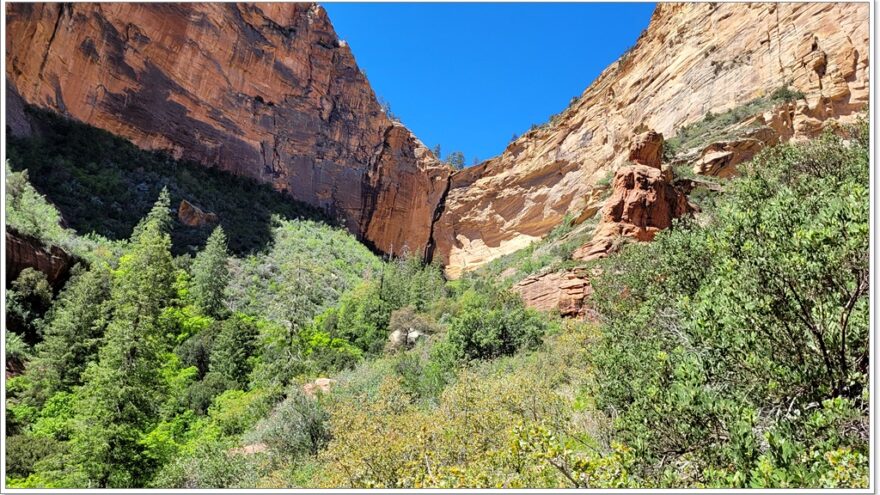 Sedona, Red Rocks, Boynton Canyon, Arizona, USA