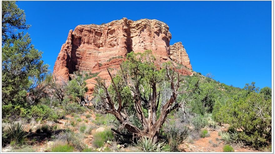 Sedona, Red Rocks, Courthouse Rock, Bell Rock, Arizona, USA