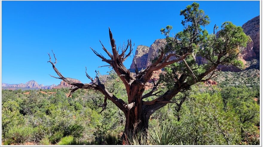 Sedona, Red Rocks, Courthouse Rock, Bell Rock, Arizona, USA