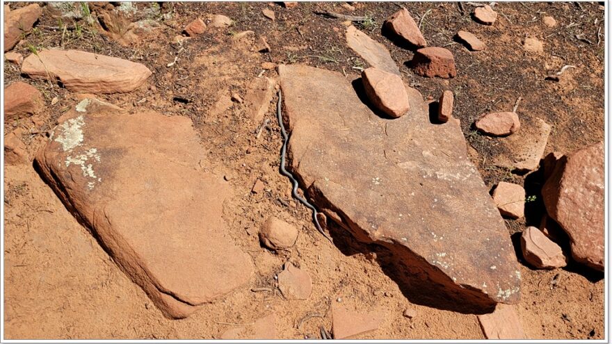 Sedona, Red Rocks, Vista, Fay Canyon, Arizona, USA