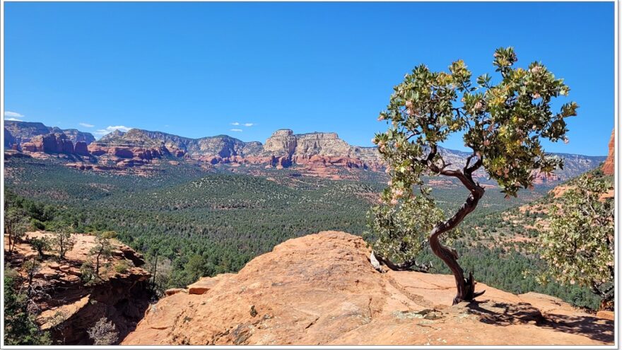 Sedona, Red Rocks,Devils Bridge, Arizona, USA