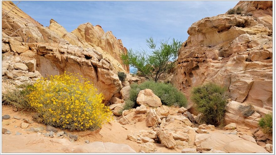 Valley of Fire, The Wave, Nevada, USA