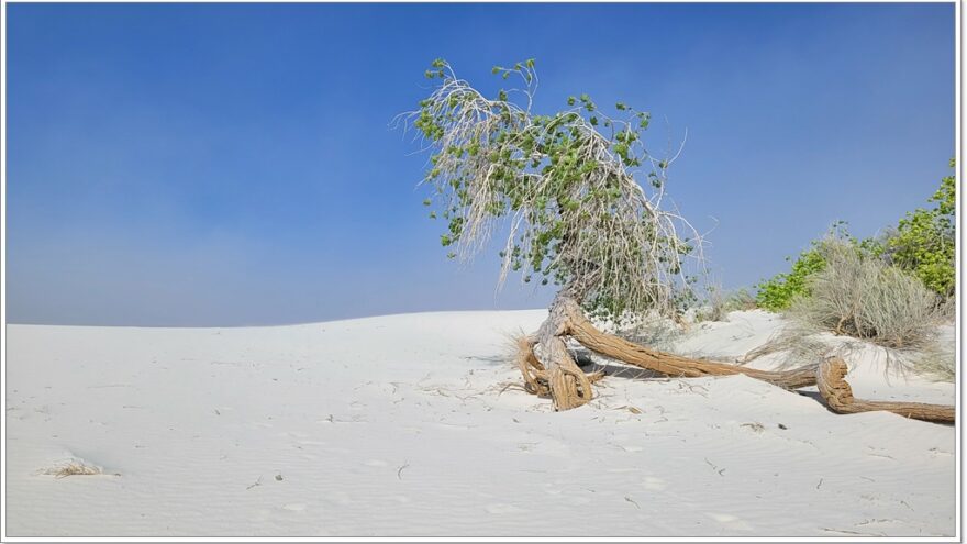 White Sands Nationalpark, New Mexico, USA