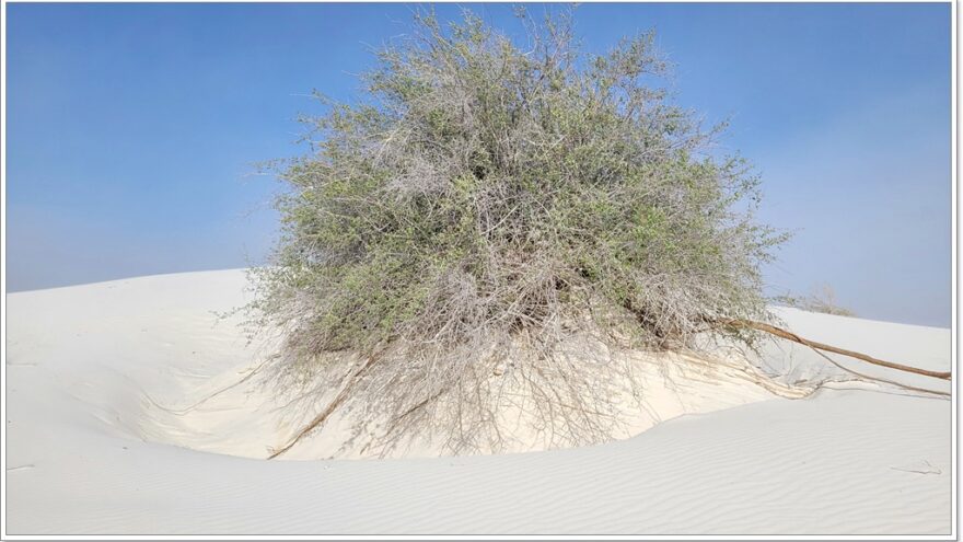 White Sands Nationalpark, New Mexico, USA