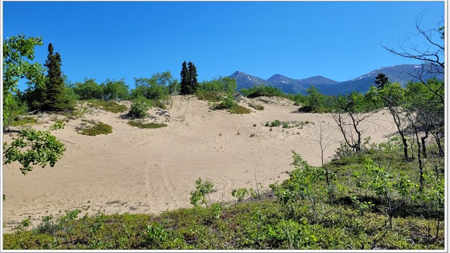 Carcross, Desert, Yukon, Kanada