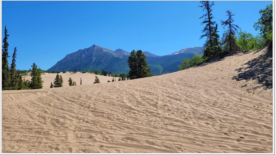 Carcross, Desert, Yukon, Kanada