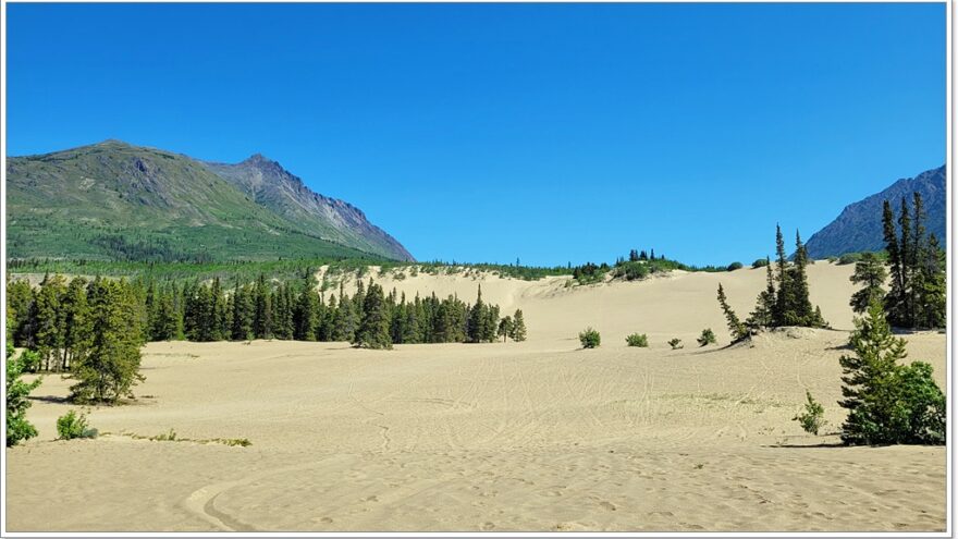 Carcross, Desert, Yukon, Kanada