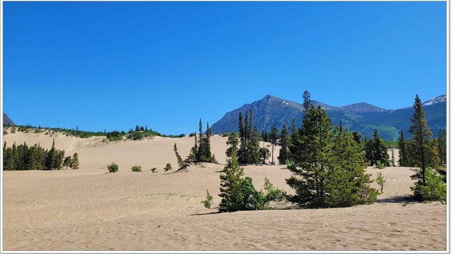 Carcross, Desert, Yukon, Kanada