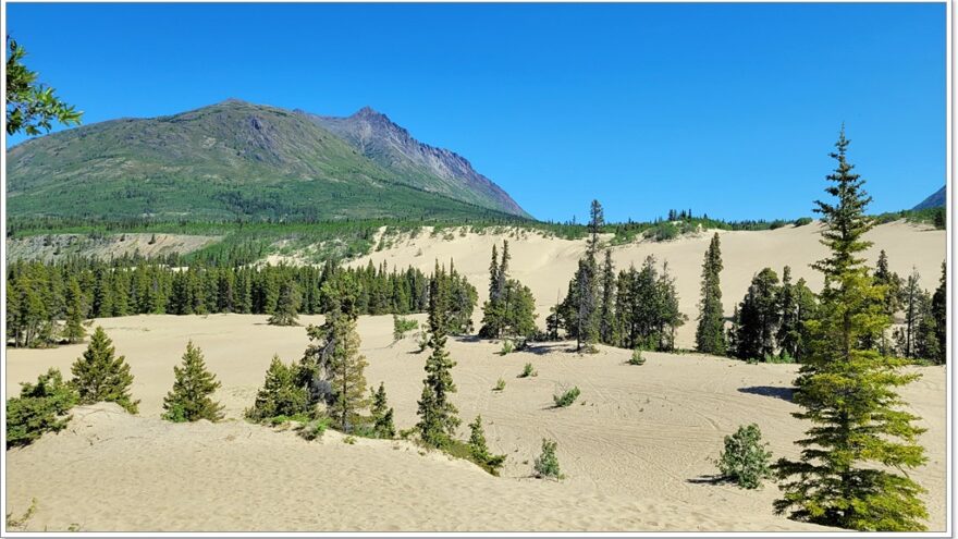 Carcross, Desert, Yukon, Kanada