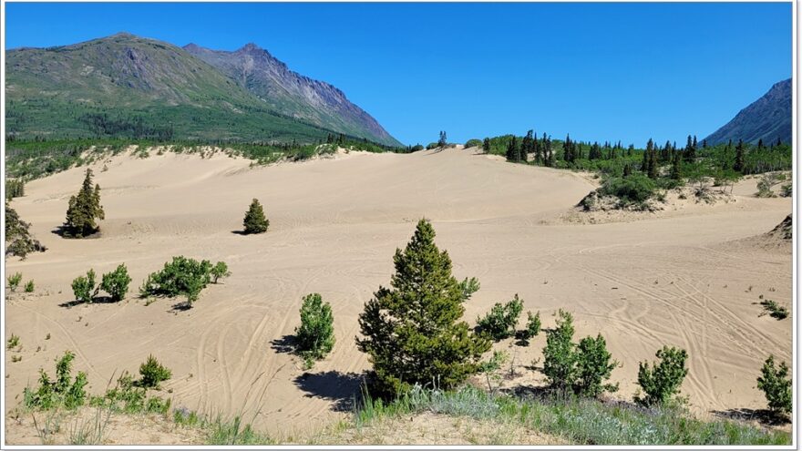 Carcross, Desert, Yukon, Kanada