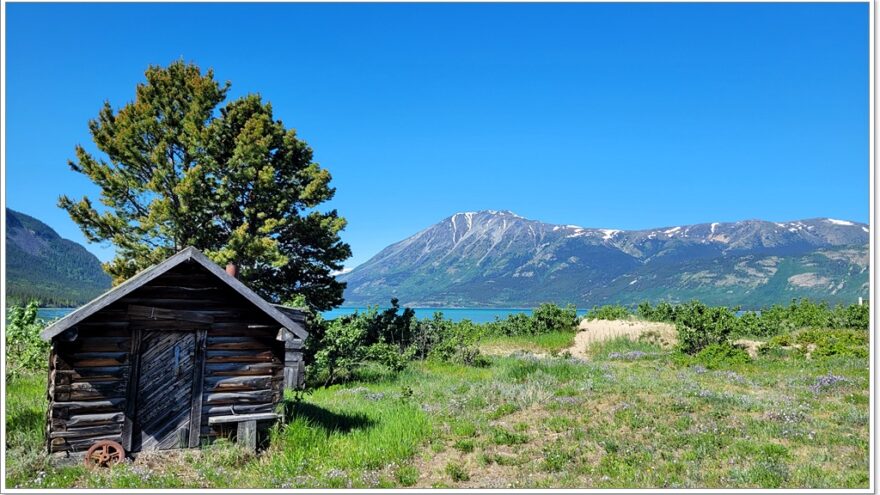 Carcross, Kitespot, Yukon, Kanada