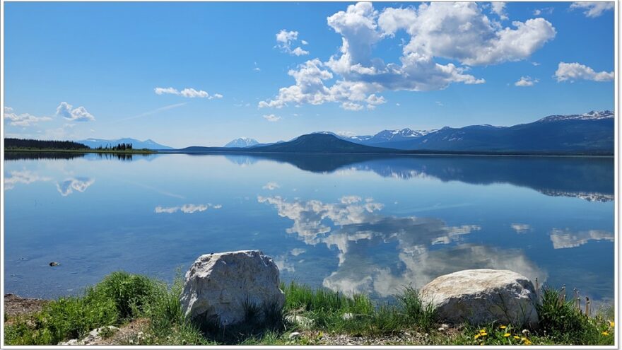 Little Atline Lake, Wildlife, Yukon, Kanada