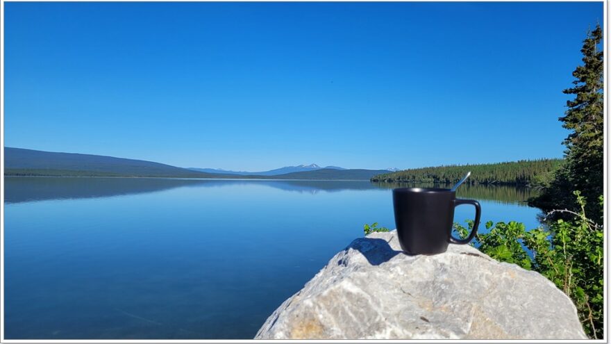 Little Atline Lake, Wildlife, Yukon, Kanada