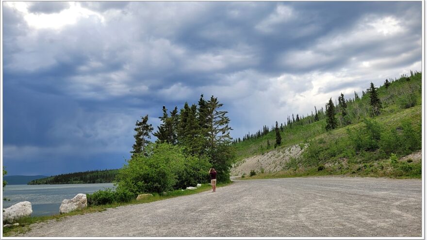 Little Atline Lake, Wildlife, Yukon, Kanada