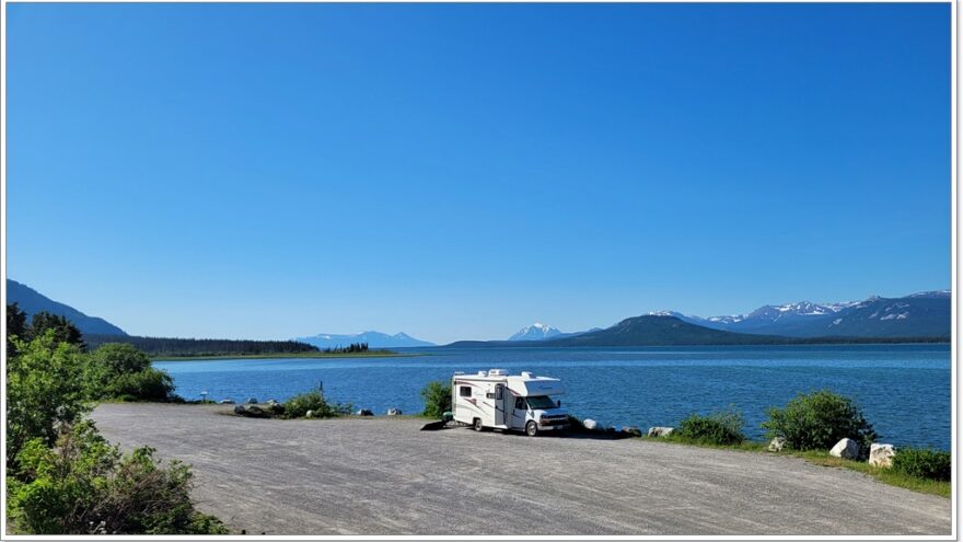 Little Atline Lake, Wildlife, Yukon, Kanada