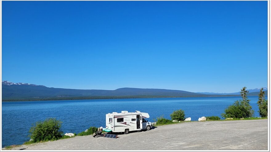 Little Atline Lake, Wildlife, Yukon, Kanada