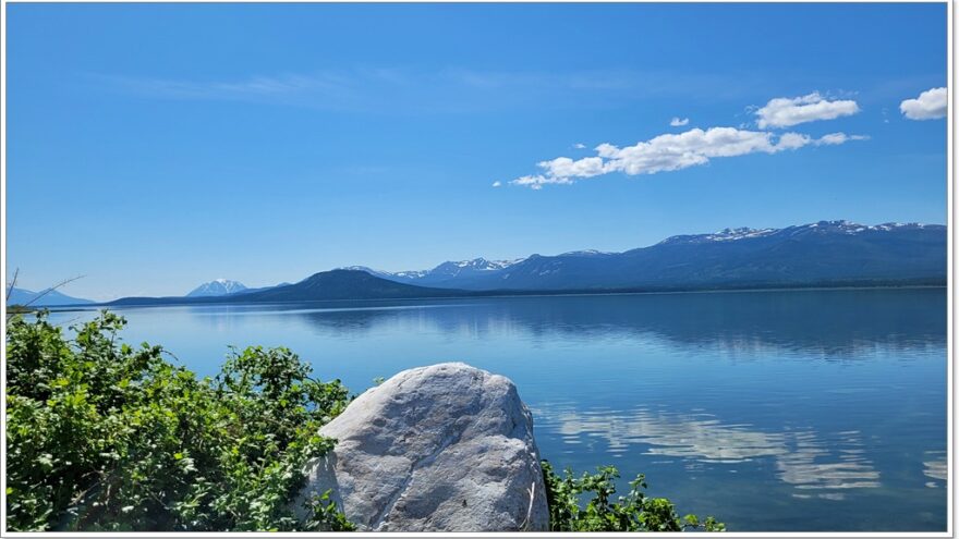 Little Atline Lake, Wildlife, Yukon, Kanada