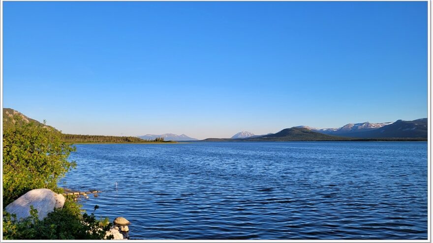 Little Atline Lake, Wildlife, Yukon, Kanada