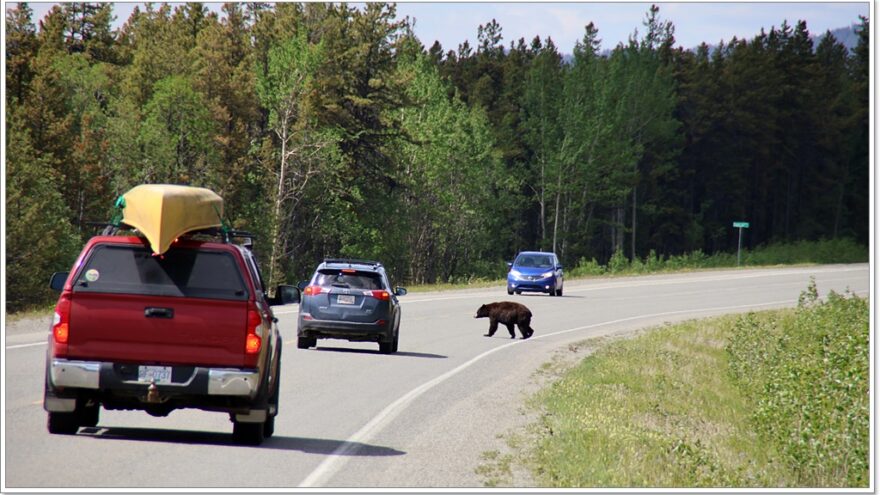 Stewart Highway, Morchuea Lake, British Columbia, Kanada