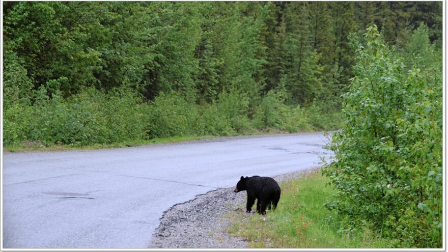 Stewart Highway, Morchuea Lake, British Columbia, Kanada