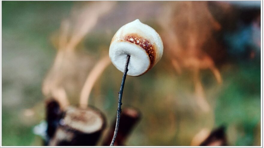 Watson Lake, Smores, Yukon, Kanada