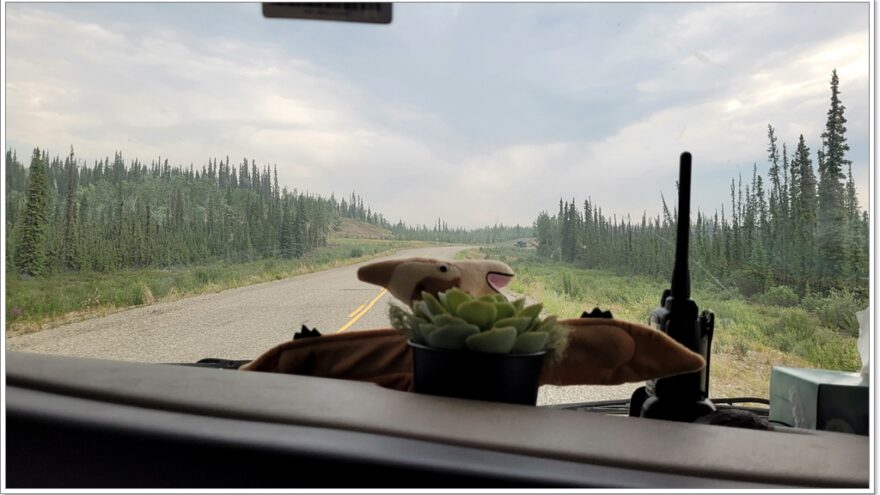 Wildfire, Yukon, Kanada