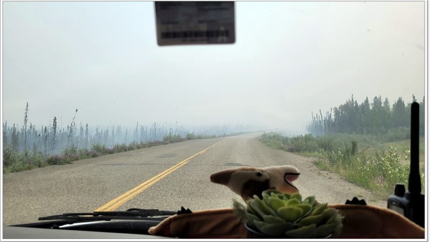 Wildfire, Yukon, Kanada