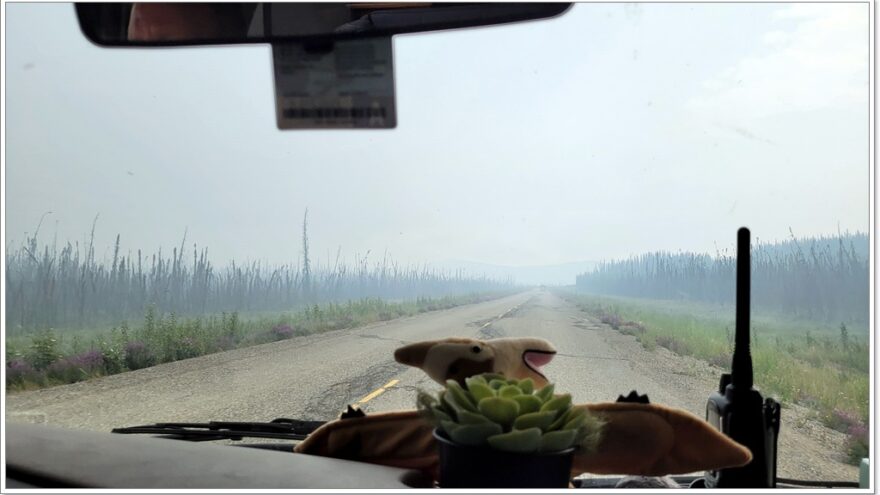 Wildfire, Yukon, Kanada