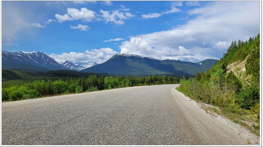 Wildlife, Yukon, Kanada