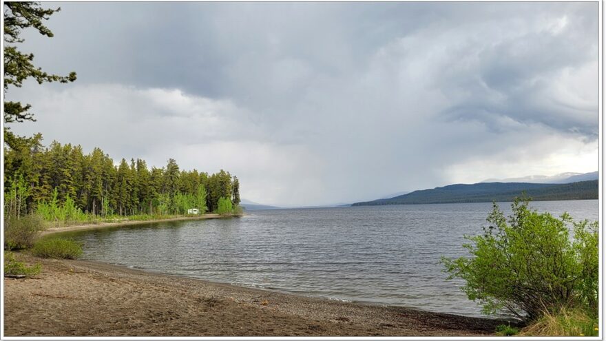 Wildlife, Yukon, Kanada