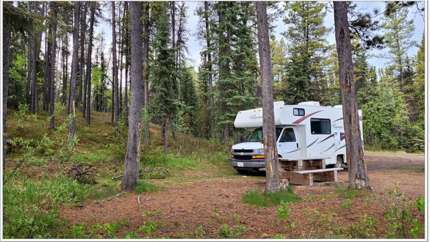 Wildlife, Yukon, Kanada