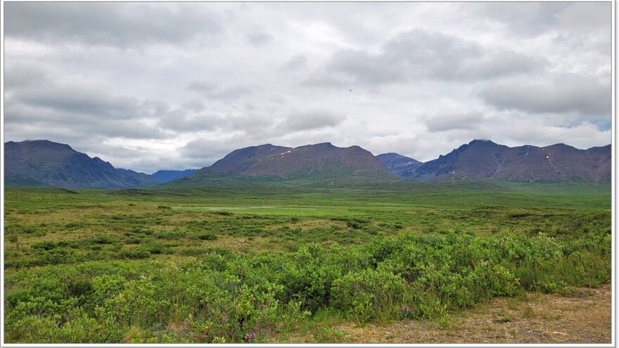 Denali Highway - Alaska - USA