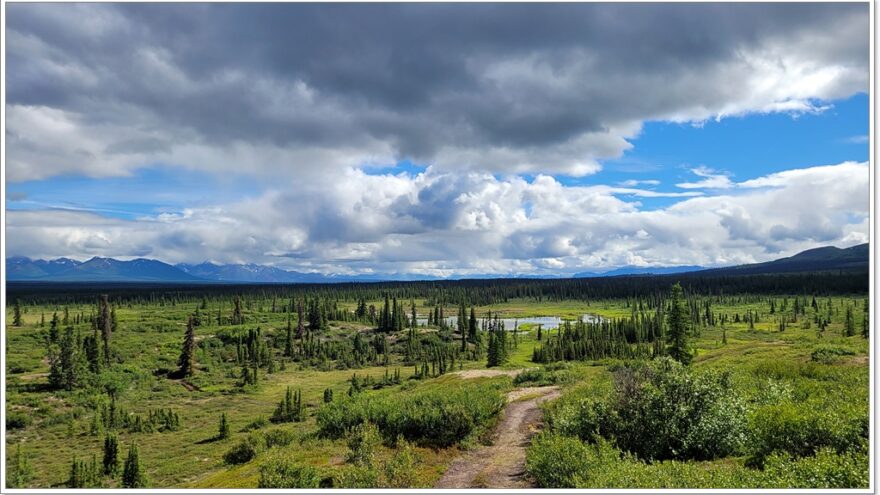 Denali Highway - Alaska - USA