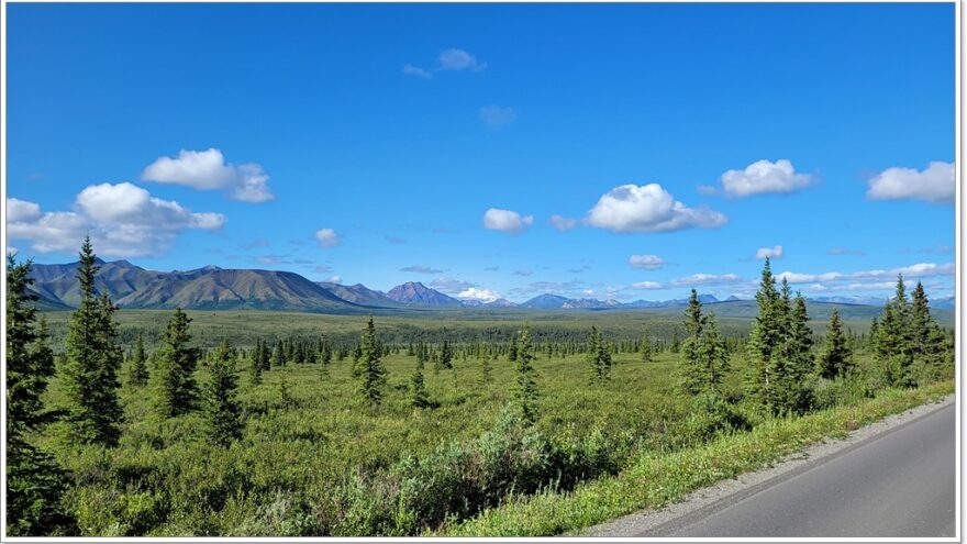 Denali Nationalpark - Mountain View Point - Alaska - USA