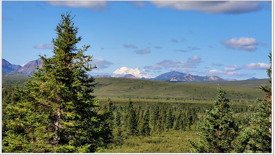 Denali Nationalpark - Mountain View Point - Alaska - USA